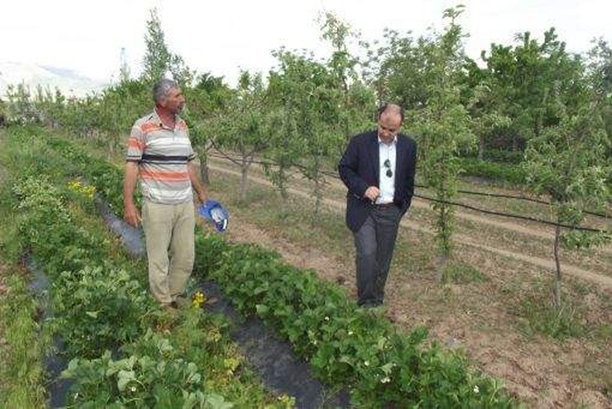 Kaymakam Yeşiltaş, Çiftçileri Ziyaret Ediyor