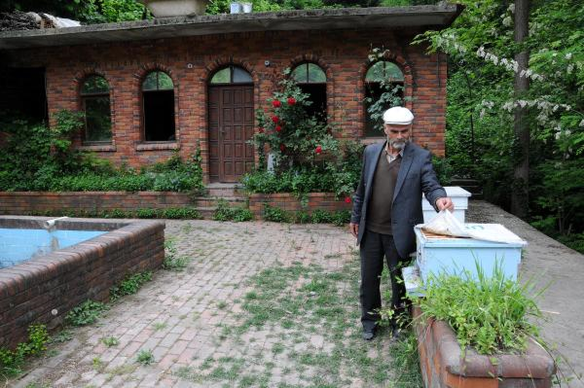 Orman Alanına Asfalt Tesisi İznine Tepki