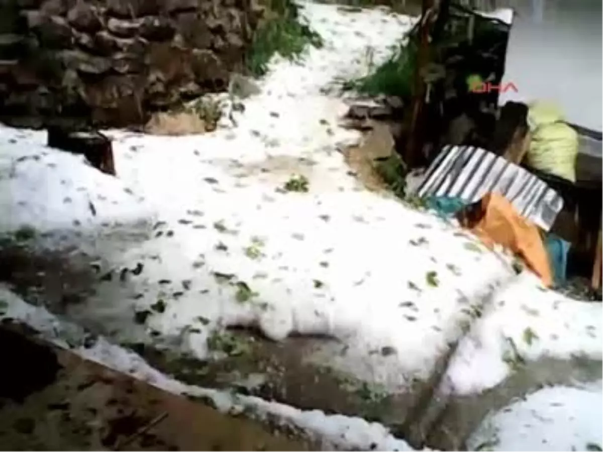 Sakarya Bir Saatlik Dolu Yaylayı Beyaza Bürüdü Bir Saatlik Dolu Yaylayı Beyaza Bürüdü