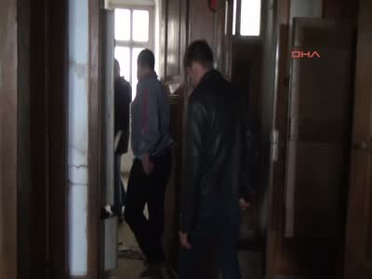 Sinop\'ta Boğazı Kesilmiş 3 Köpek Bulundu