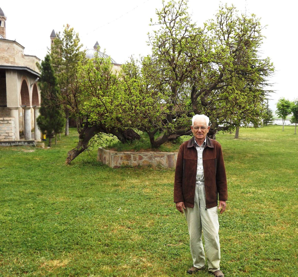 900 Yıllık Dut Ağaçları