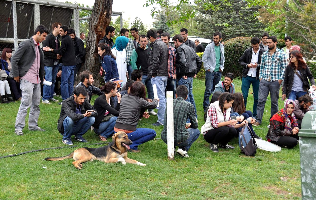 AÜ\'de Kürt Dil Bayramı Boykotu