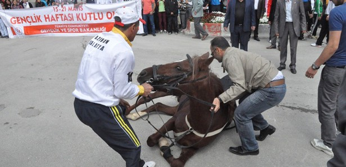 Cirit Sporcusu Atıyla Birlikte Yere Düştü