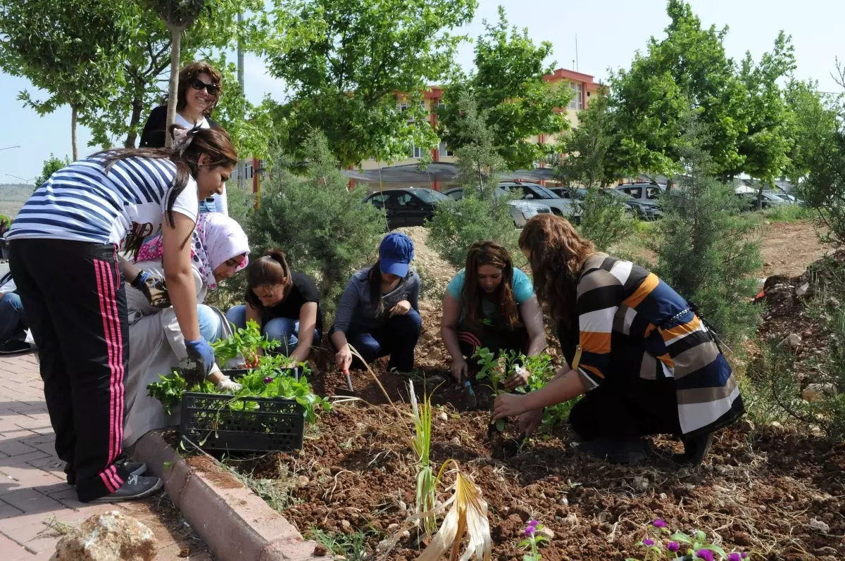 Daha Yeşil Bir Üniversite Çalışması