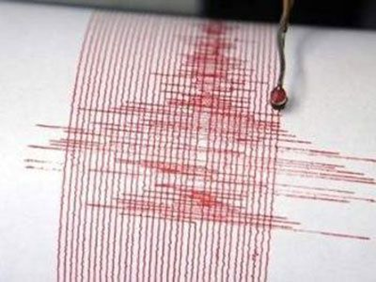 Deprem Can ve Mal Kaybına Neden Olmadı