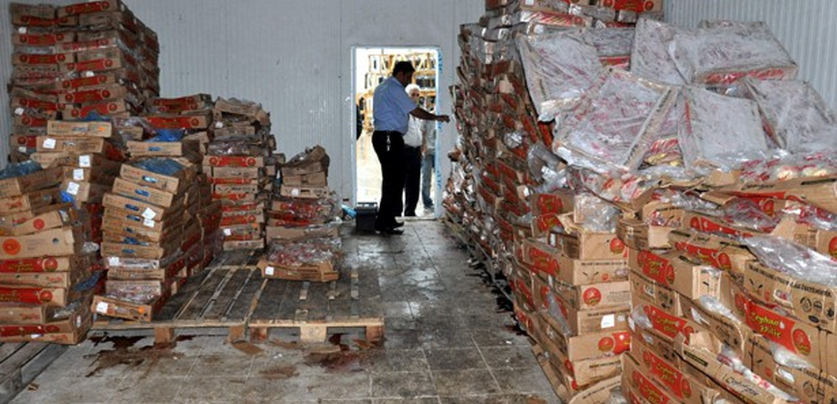 Diyarbakır\'da Tarihi Geçmiş 12 Ton Tavuk Eti Ele Geçirildi