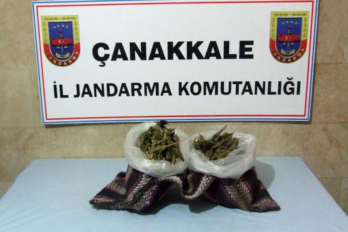 Jandarmadan Uyuşturucu Operasyonu