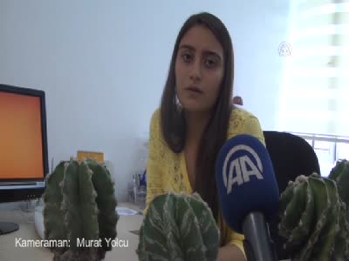 Kaktüs, Elektromanyetik Dalgaları Emiyor