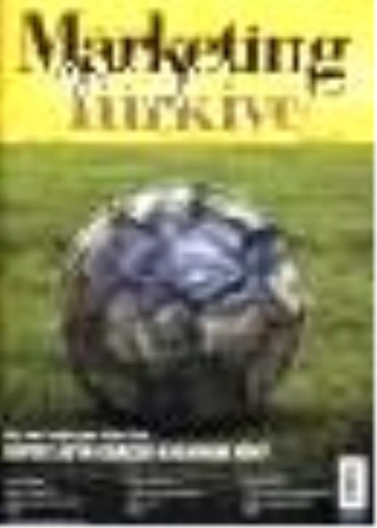 Marketing Türkiye Dergisi Sayı: 245 Kitabı