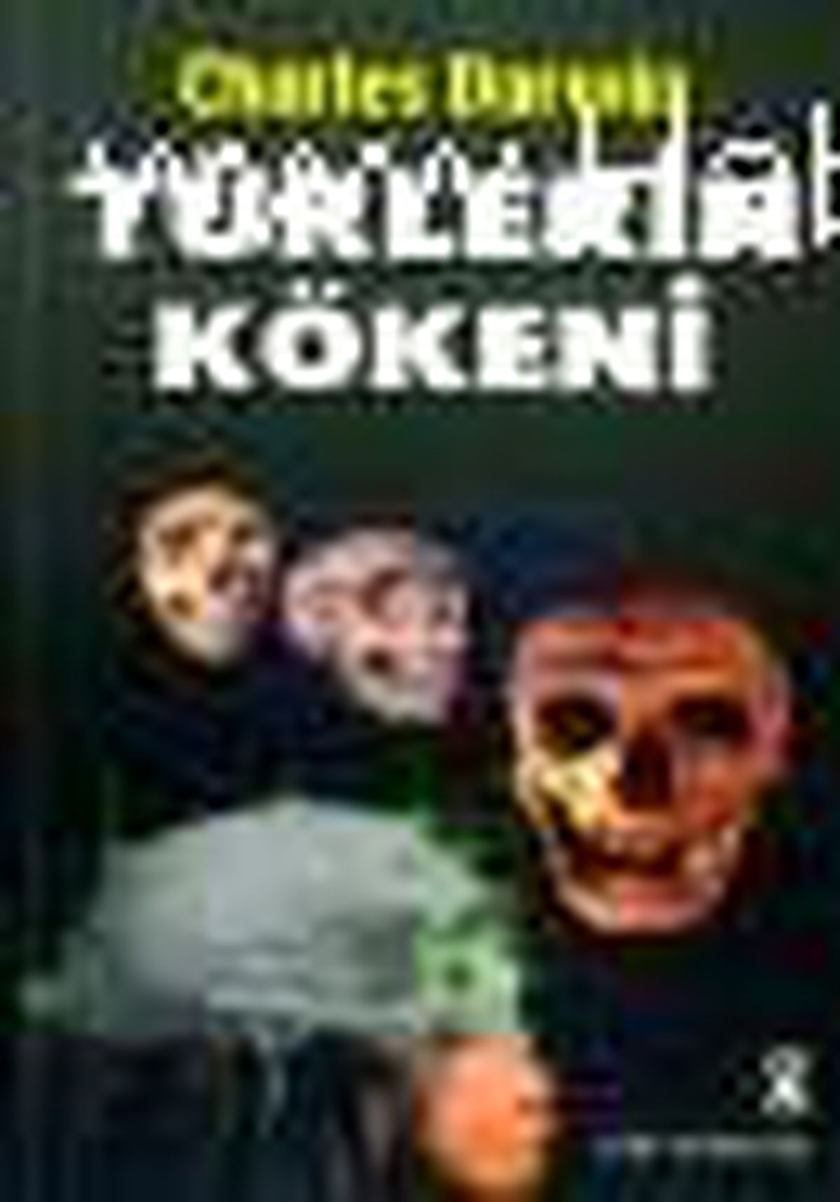 Türlerin Kökeni Kitabı