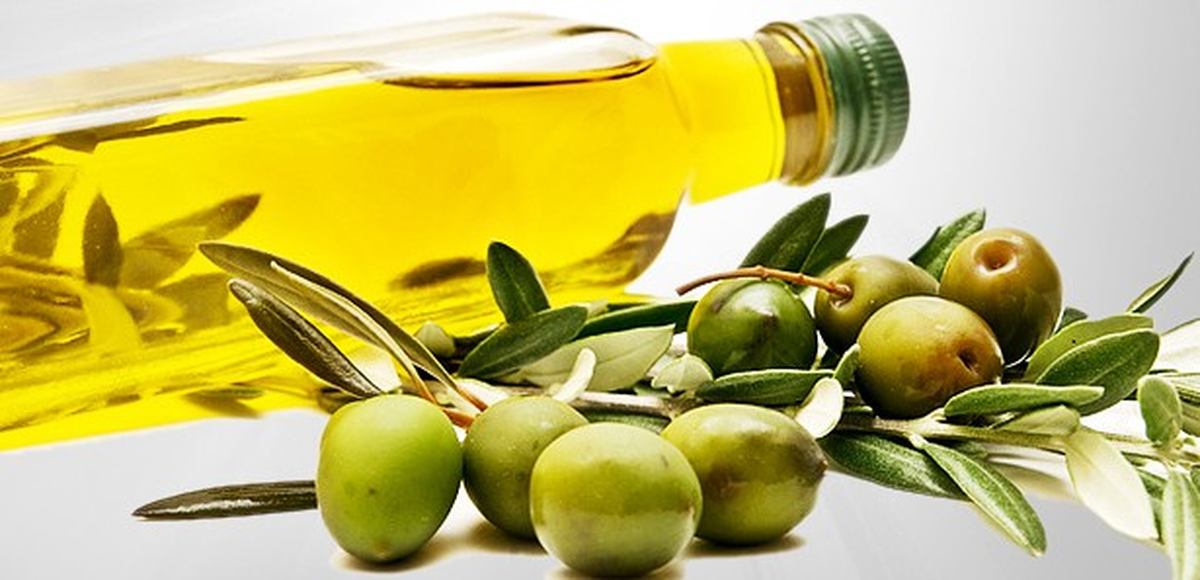 Zeytin Üreticilerinden Brezilya Çıkarması