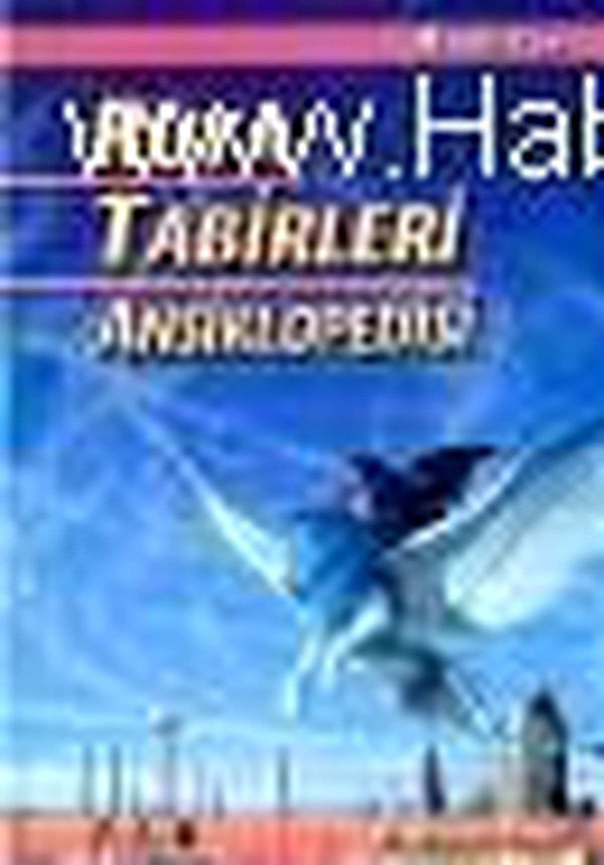 A\'dan Z\'ye Rüya Tabirleri Ansiklopedisi Kitabı