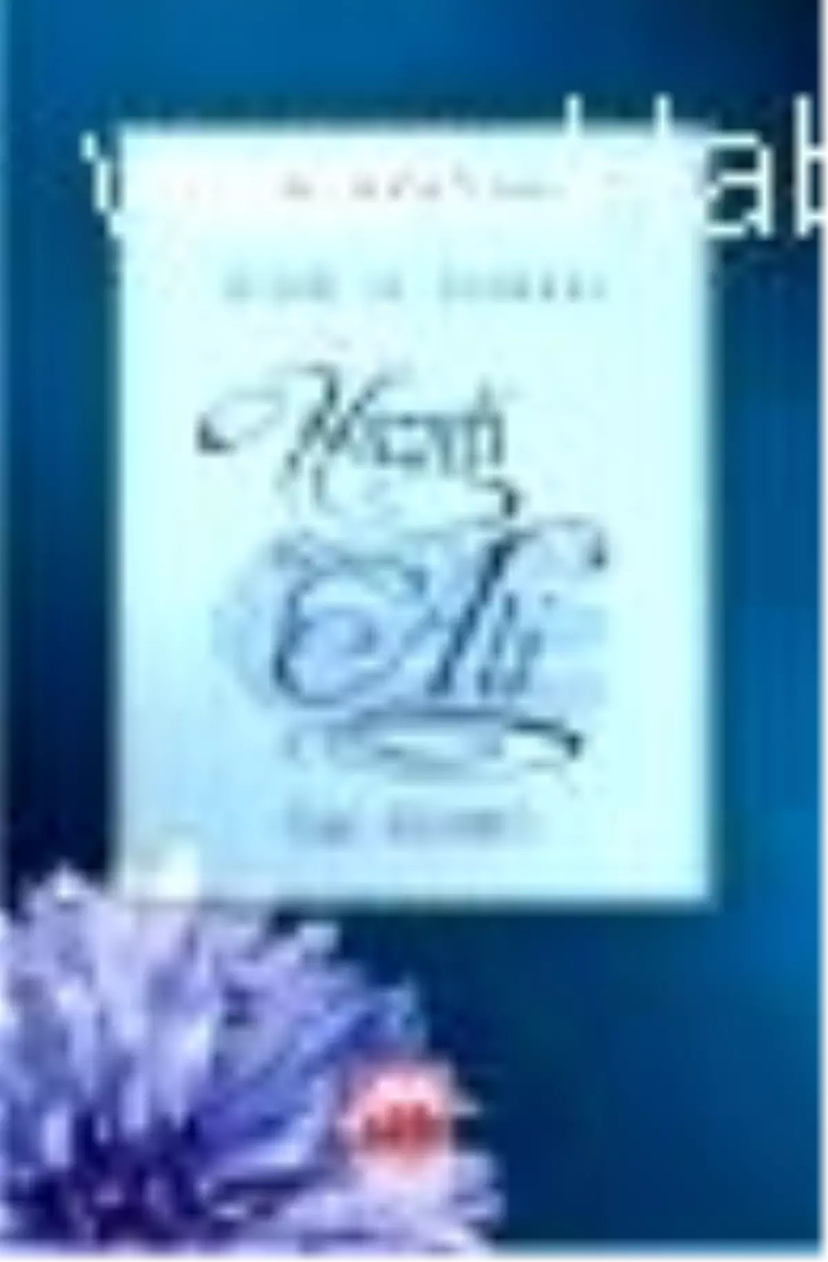 Allah\'ın Arslanı Hazreti Ali Kitabı