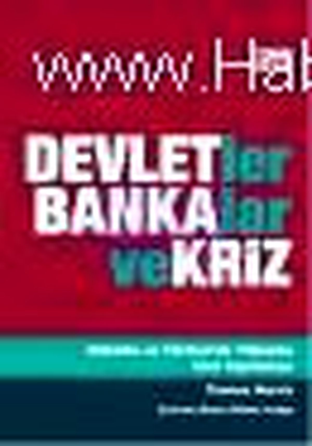 Devletler, Bankalar ve Kriz Kitabı