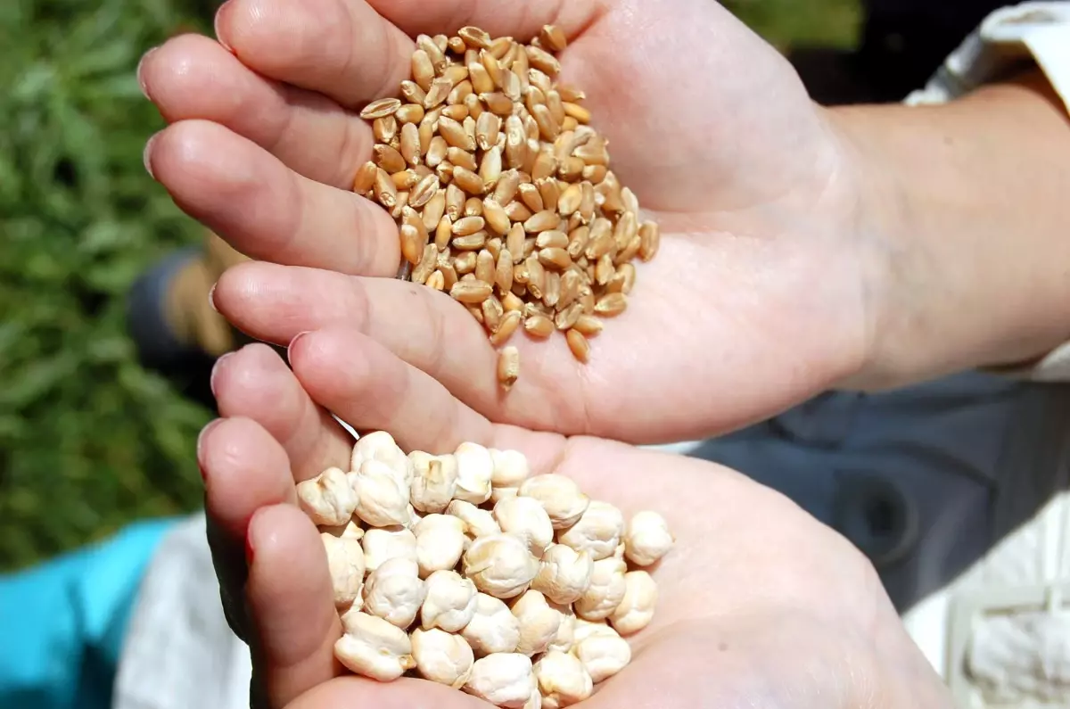 Gktae Yeni Tarımsal Ürünleri Basına Tanıtıldı