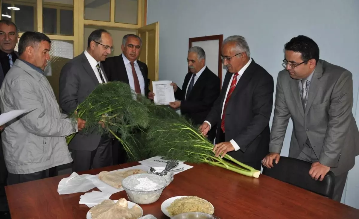 Heliz Bitkisi Cinsel Gücü Arttırıyor