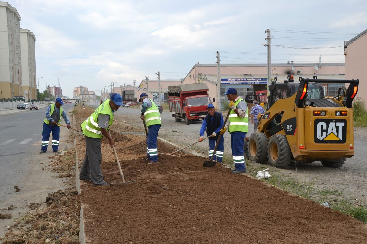 Orta Refüjler Ağaçlandırılıyor