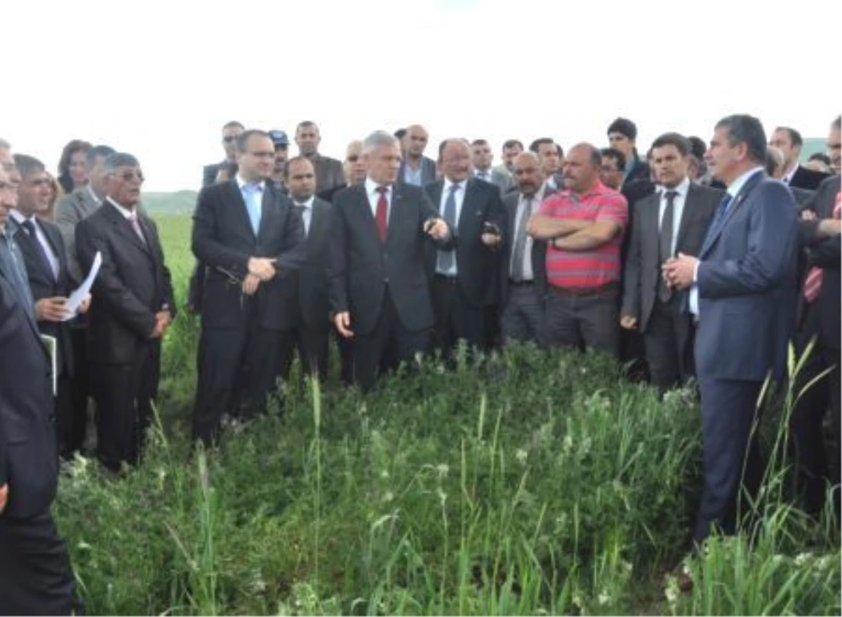 "Toprak İşlemesiz Tarım Yöntemi" Kırşehir\'de Tanıtıldı