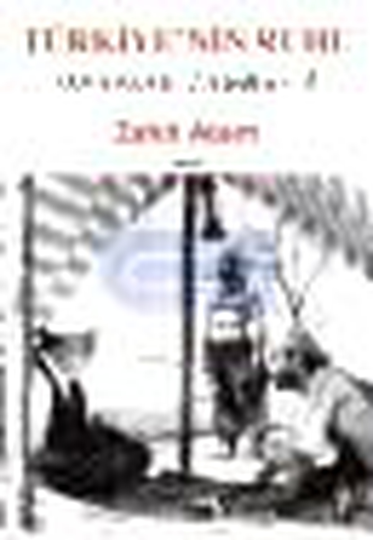 Türkiye\'nin Ruhu - Direnmenin Trajedisi 2. Kitap Kitabı