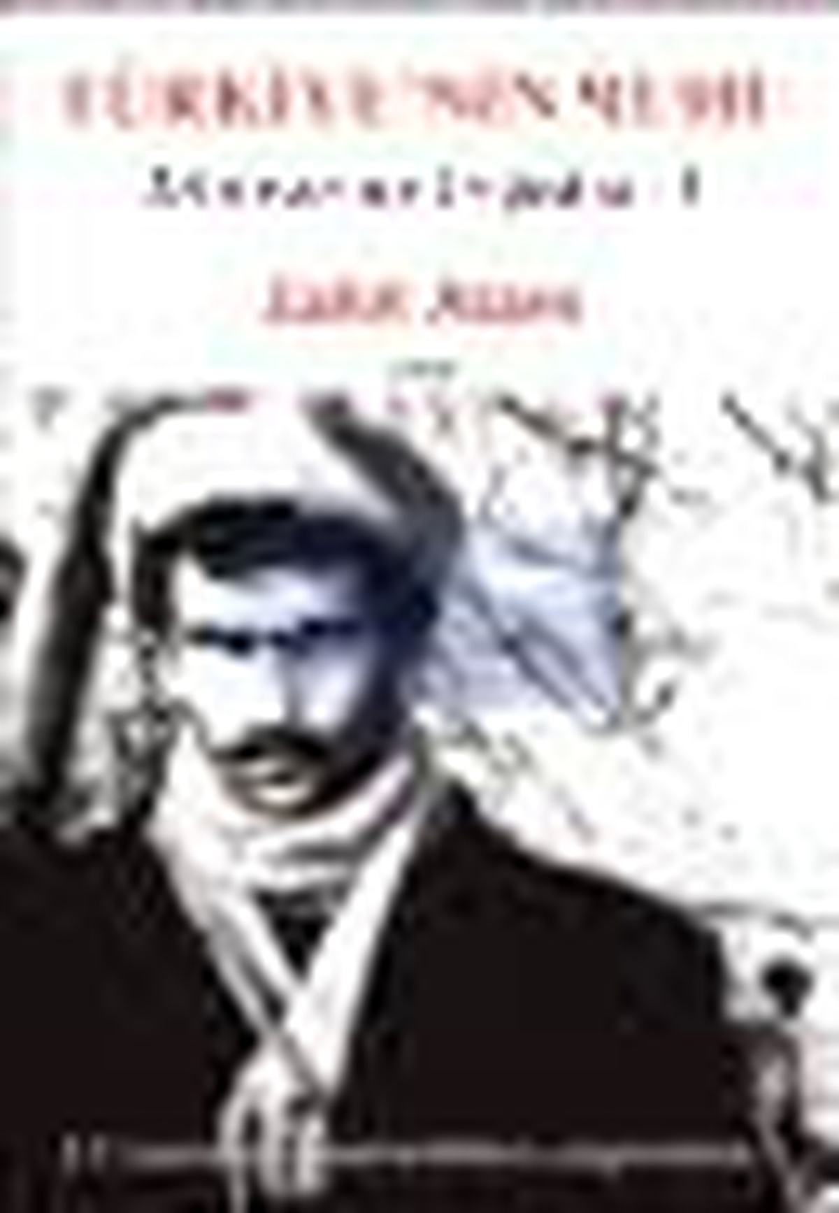 Türkiyenin Ruhu - Direnmenin Trajedisi 1. Kitap Kitabı