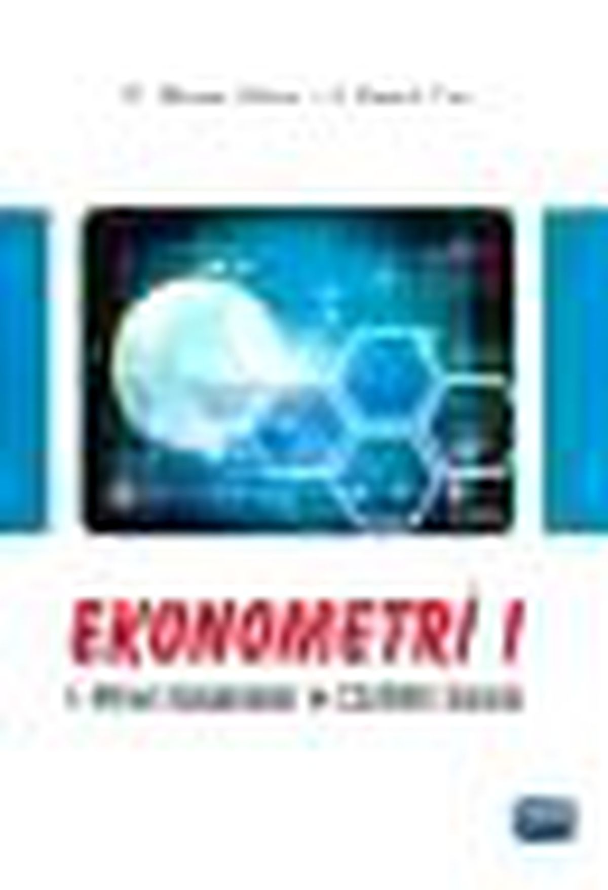 Ekonometri - 1 Kitabı