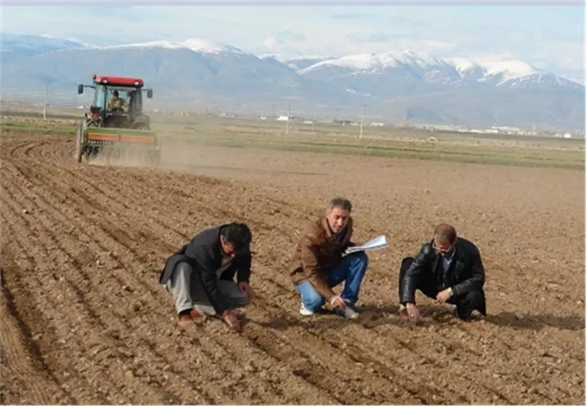 "Farkındalık Projesi" Kapsamında Yonca Ekimleri Tamamlandı