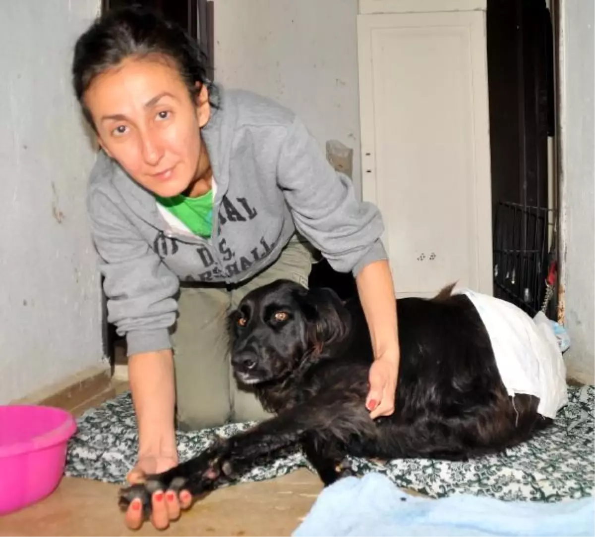 Köpeğin Tırnaklarını Söktüler