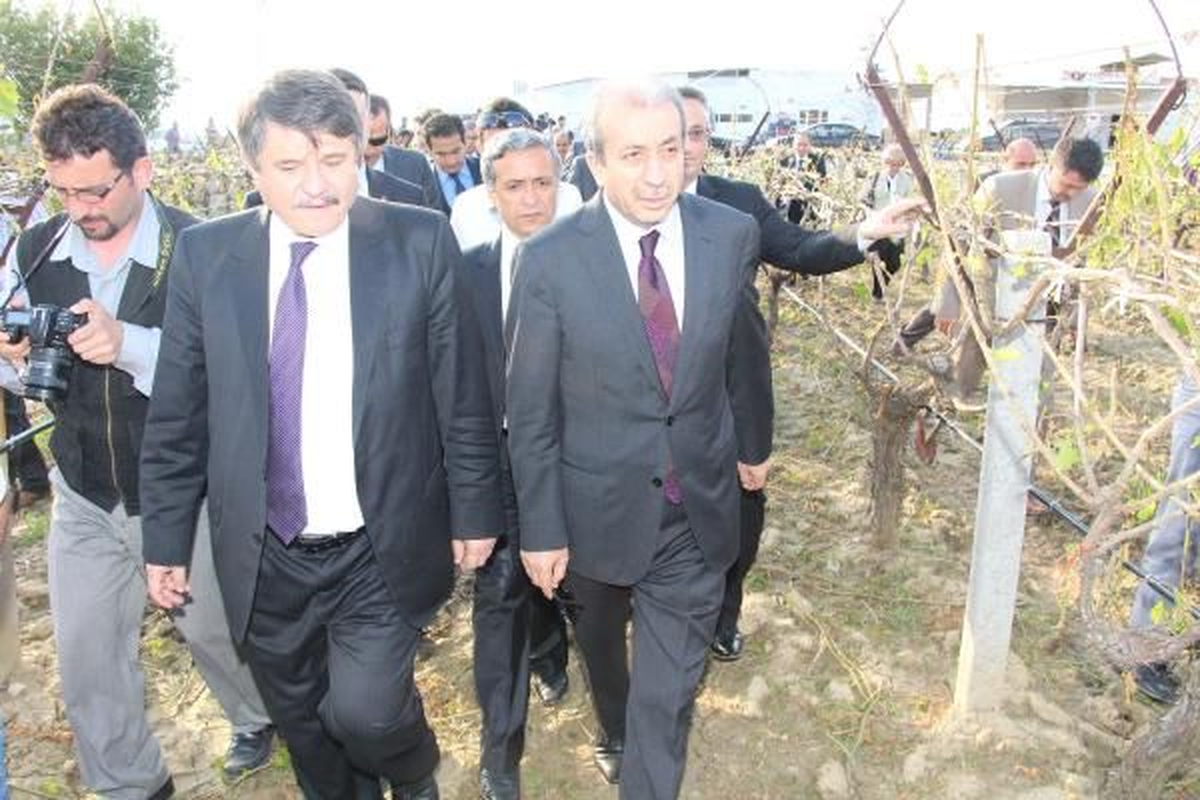 Manisa ) Bakan Eker, Dolu Nedeniyle Zarar Gören Bağları İnceledi Bakan Eker, Dolu Nedeniyle Zarar...