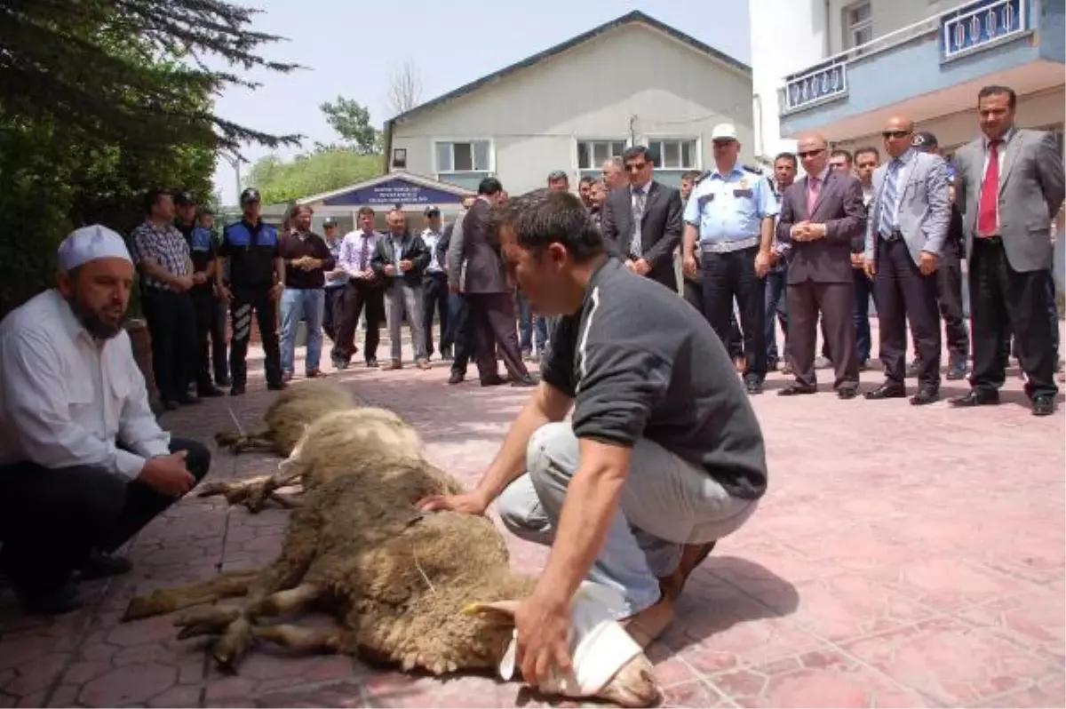 Polis Kazaları Artınca, Kurban Kestiler