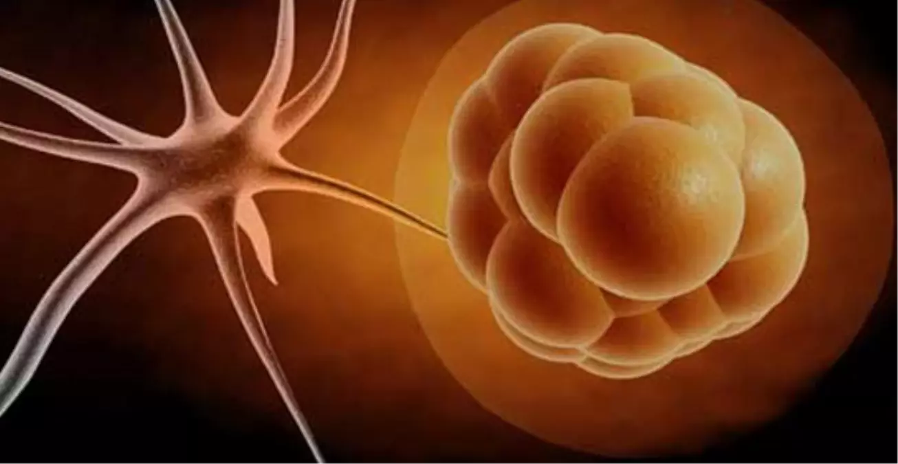 Tıp Tarihinde Devrim