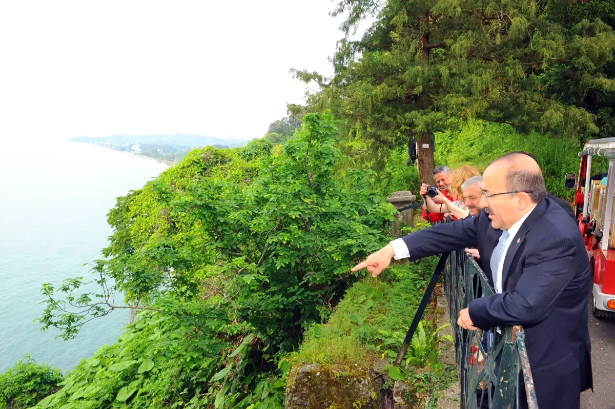 Trabzon\'a \'Botanik Park\'ta Batum Örneği