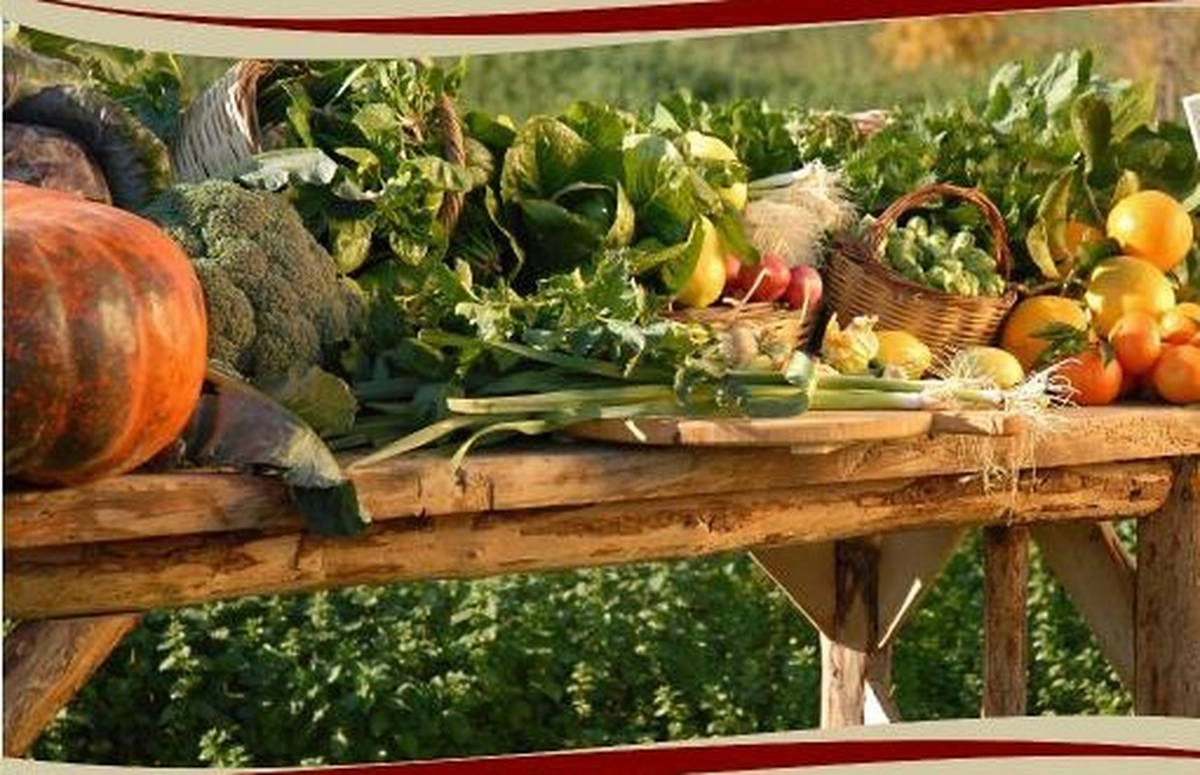 Türkiye'deki En Başarılı Organik Çiftlikleri