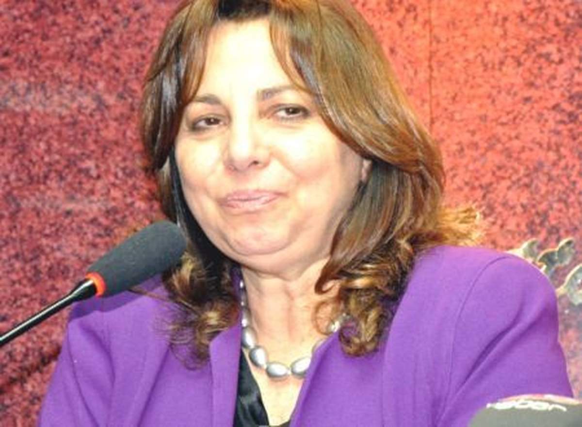 AK Parti Sivas Milletvekili Memecan, Şarkışla'da