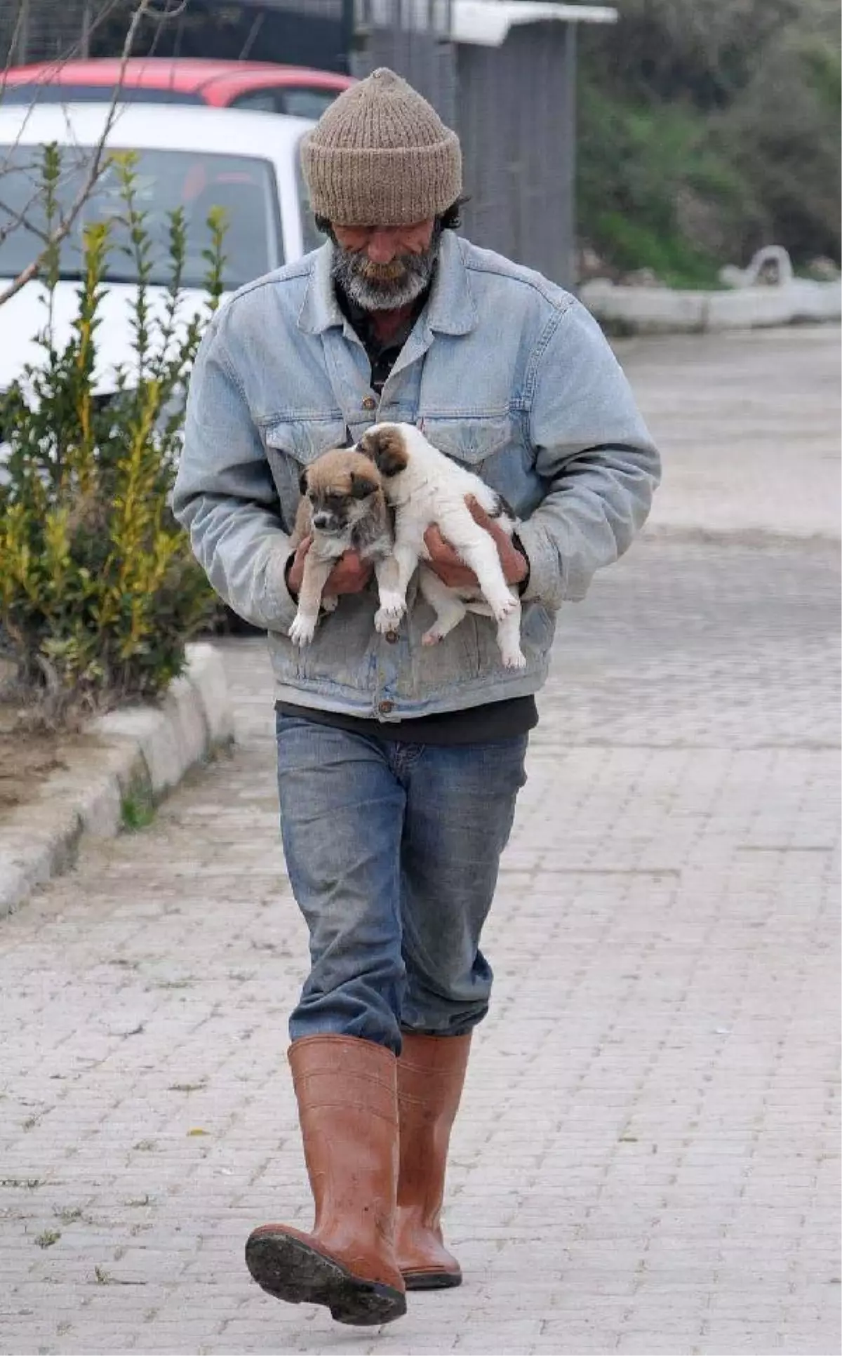 Barınak Çalışanını, Küfür Ettiği İçin Öldürmüş