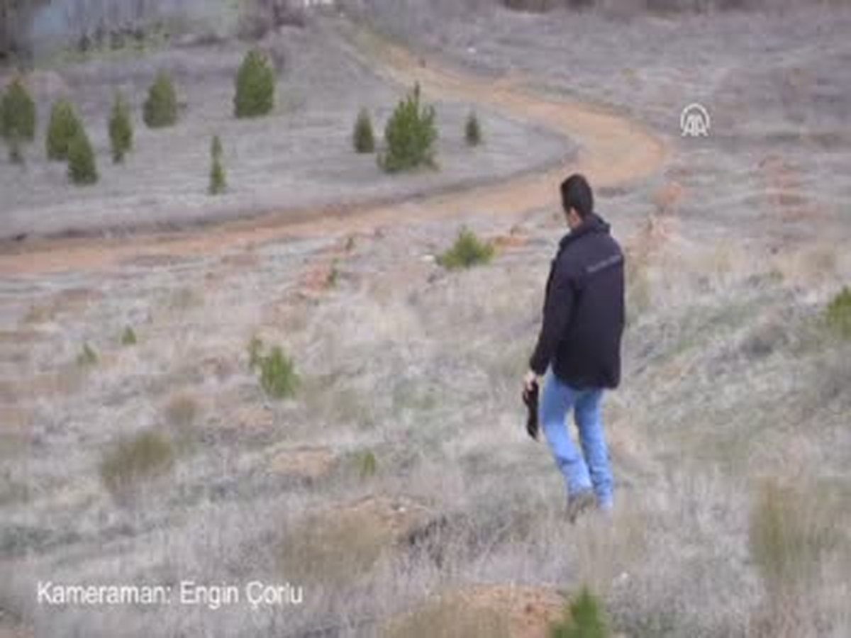 Özel Harekatın Sığınak Köpekleri