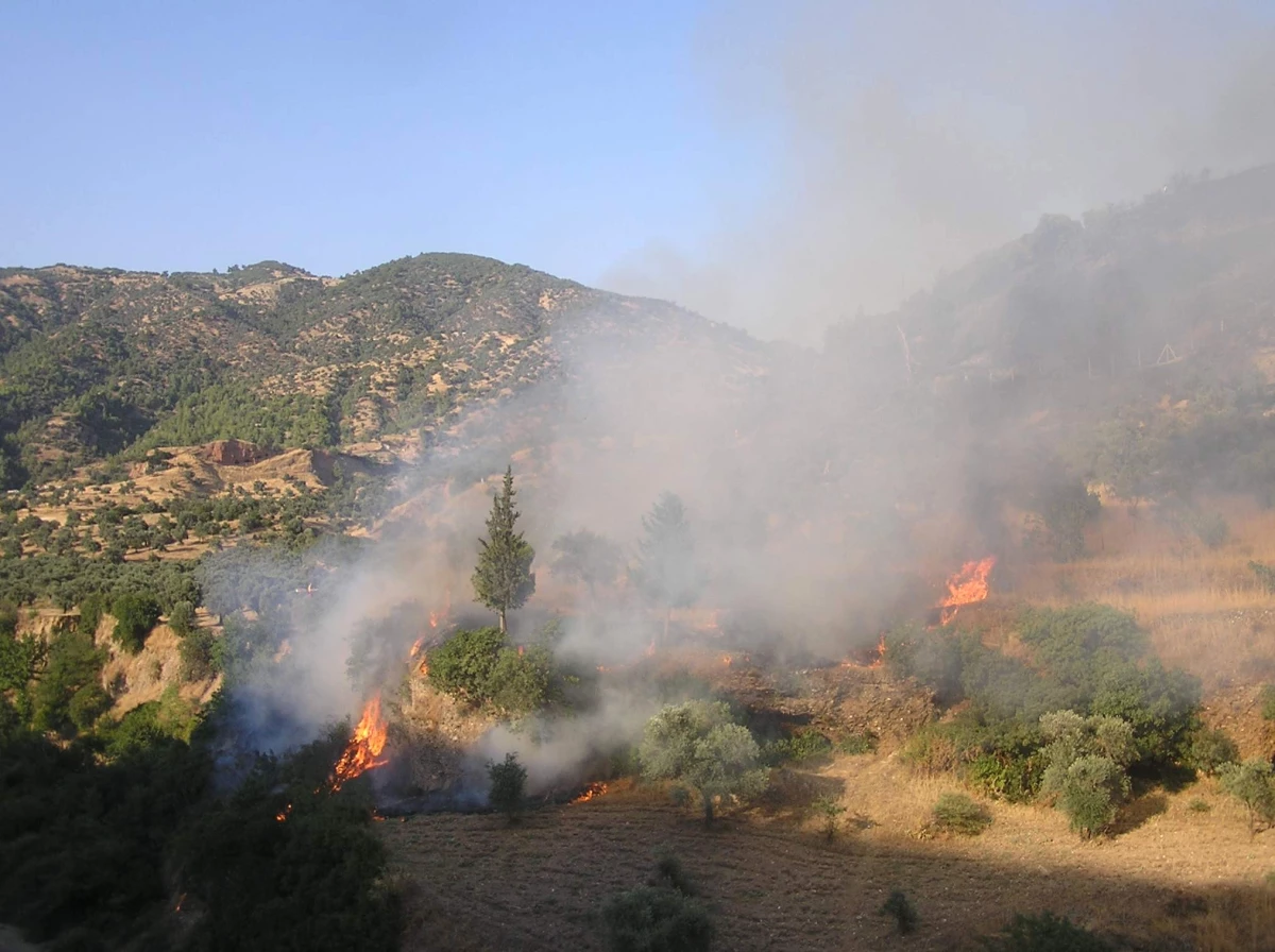 Tarım Arazisinde Çıkan Yangın Korkuttu