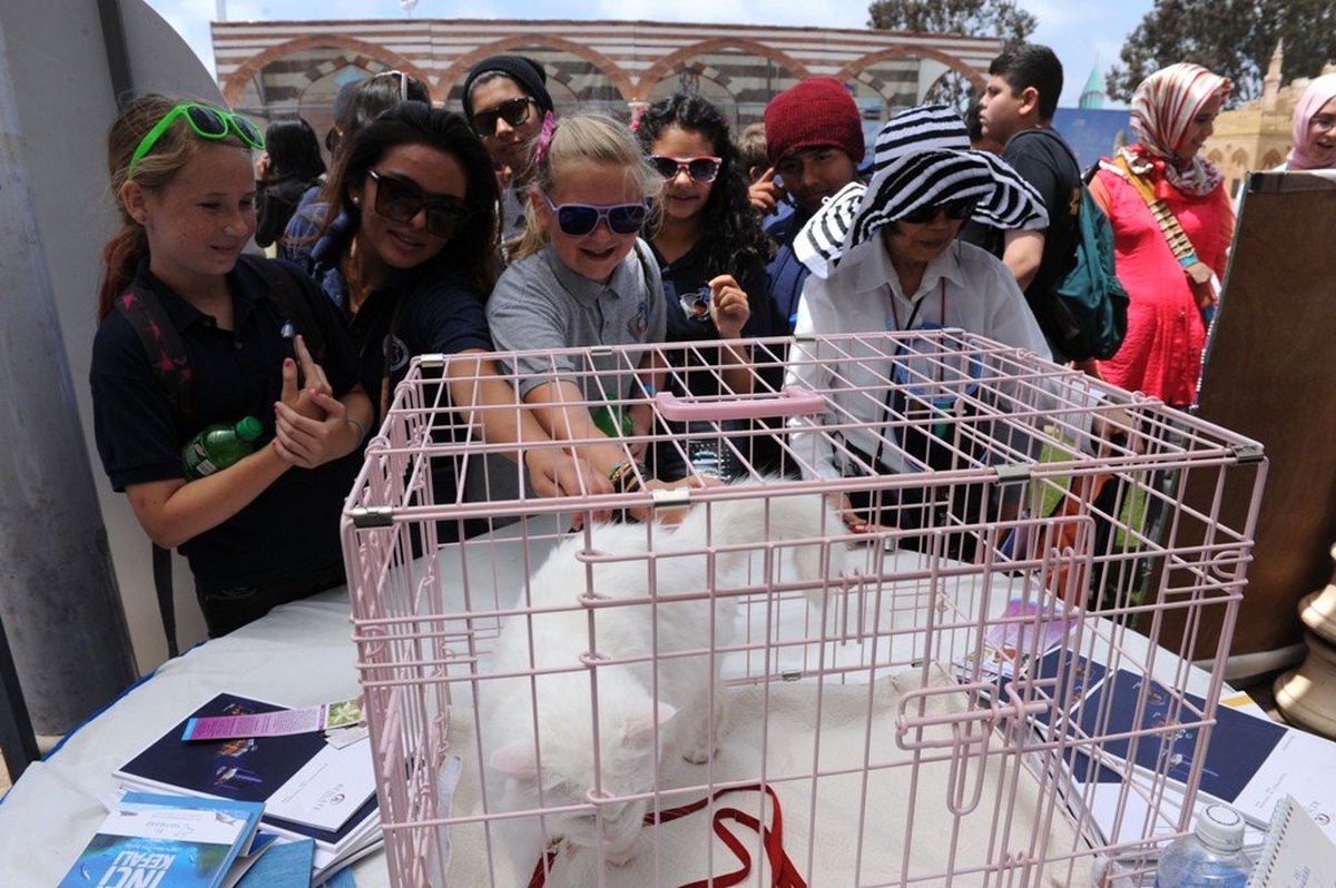 Anadolu Kültürleri ve Yemek Festivali Sona Erdi