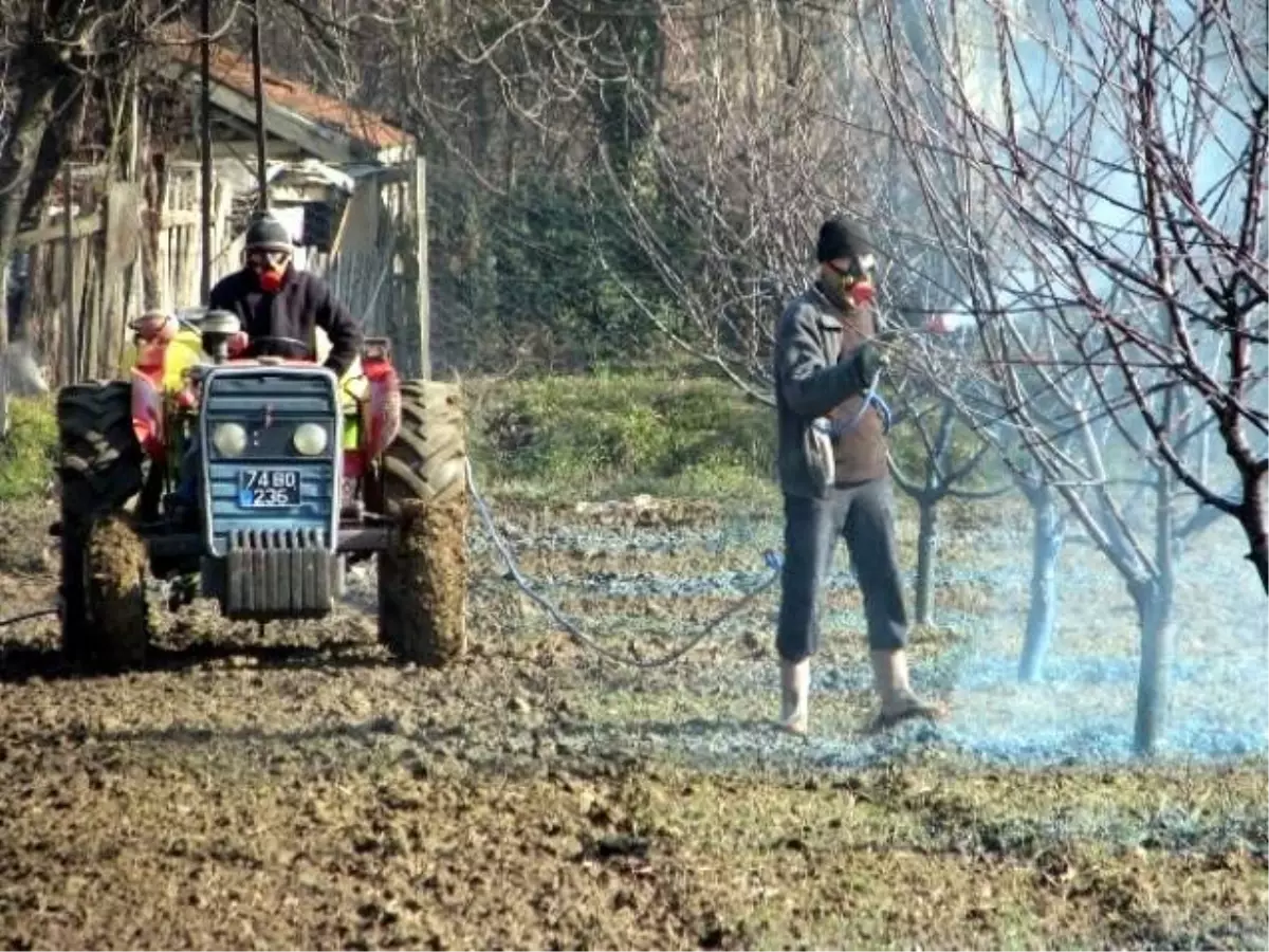 Zirai İlaçlamada Arılara Dikkat!