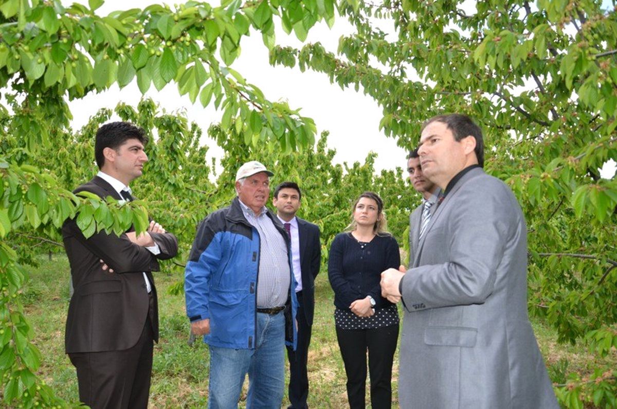 Darboğaz Kasabasında Hedef Çin