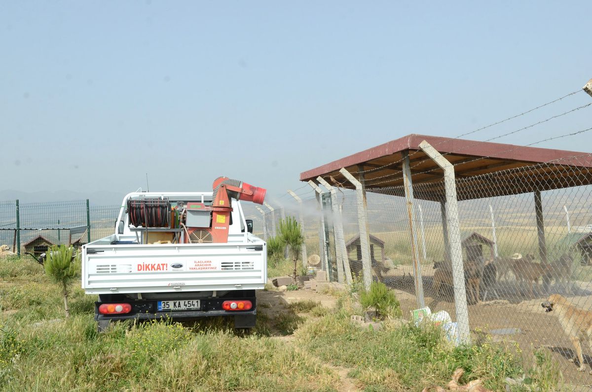 Denizli Belediyesi Keneyle Mücadele Çalışmalarını Sürdürüyor