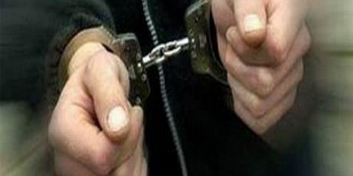 Eskişehir'de Tarihi Eser Operasyonu