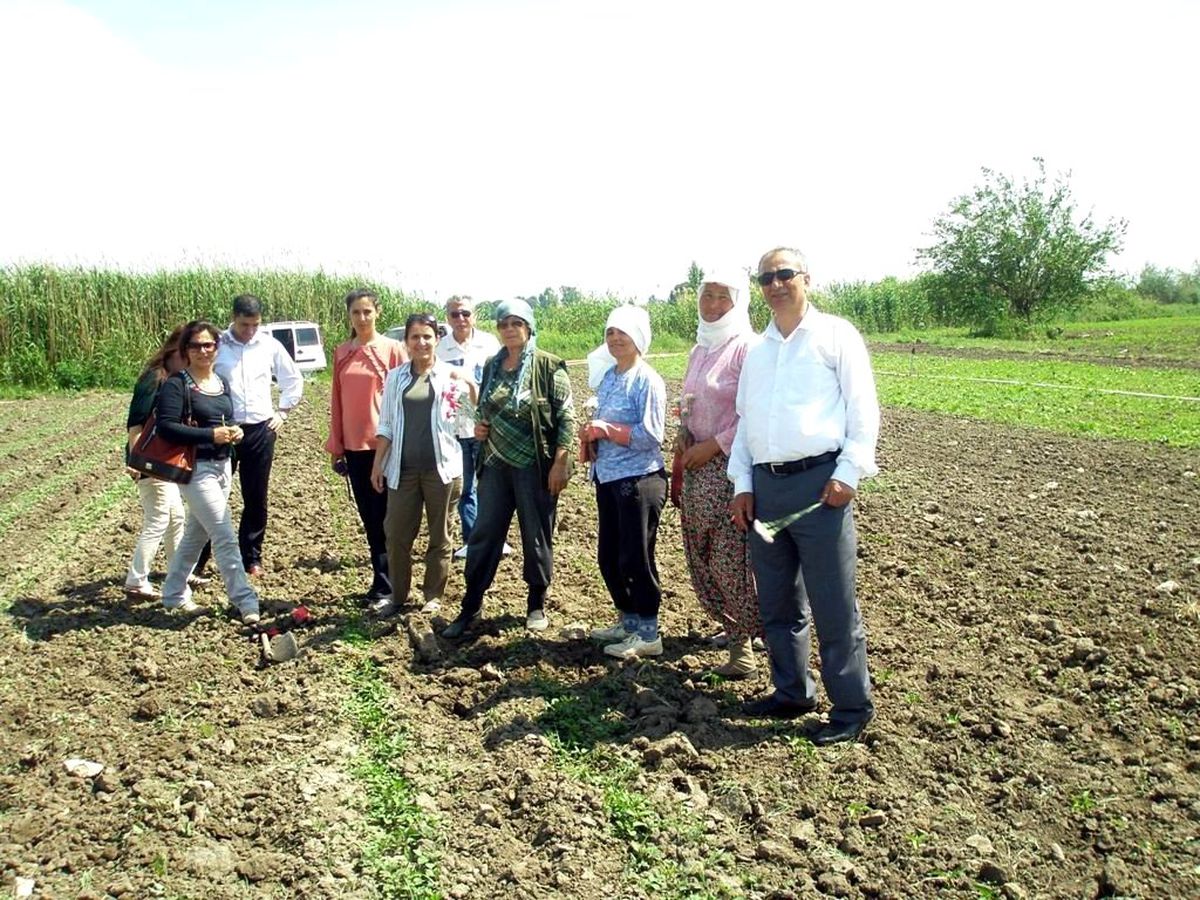 Gönül Elçileri Çiftçiler Gününü Tarlada Kutladı