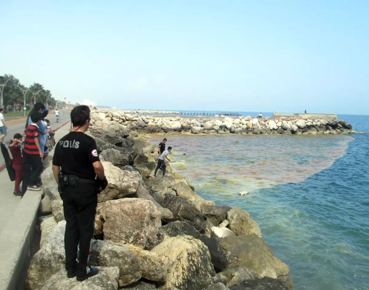 Mersin\'de Deniz Yüzeyinde Oluşan Sarı Tabaka, Vatandaşları Endişelendirdi