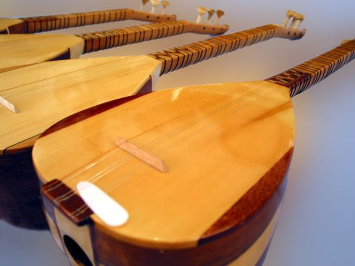 Bingöl'de Bağlama ve Ney Kursu Açılacak