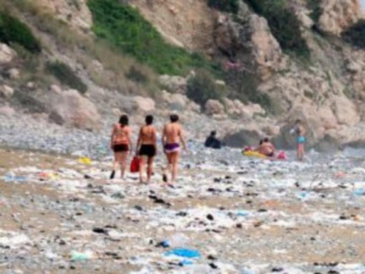 Komşudaki İç Savaşın Çevre Katliamı Boyutu Da Var