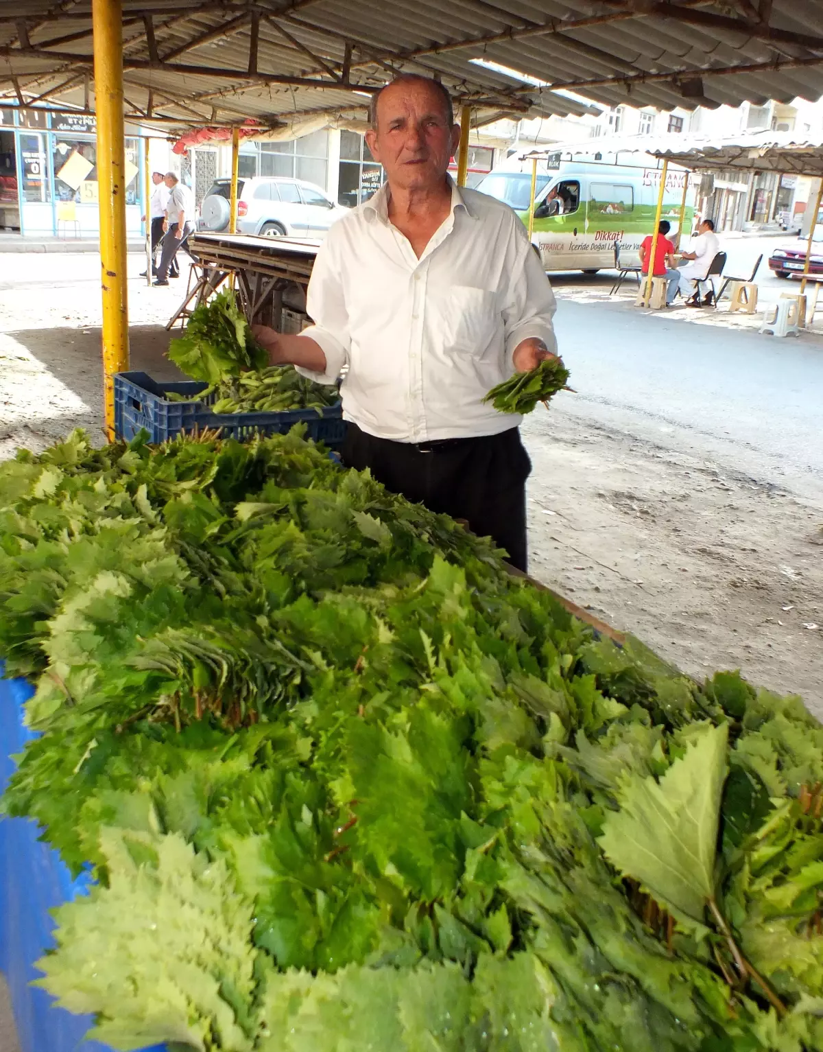 Şarköy Asma Yaprağı Tezgahta