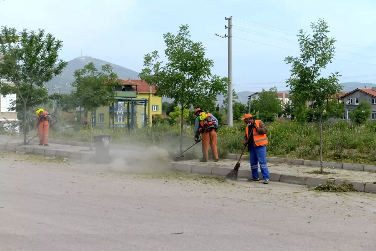 Belediyeden Yabani Ot Temizliği