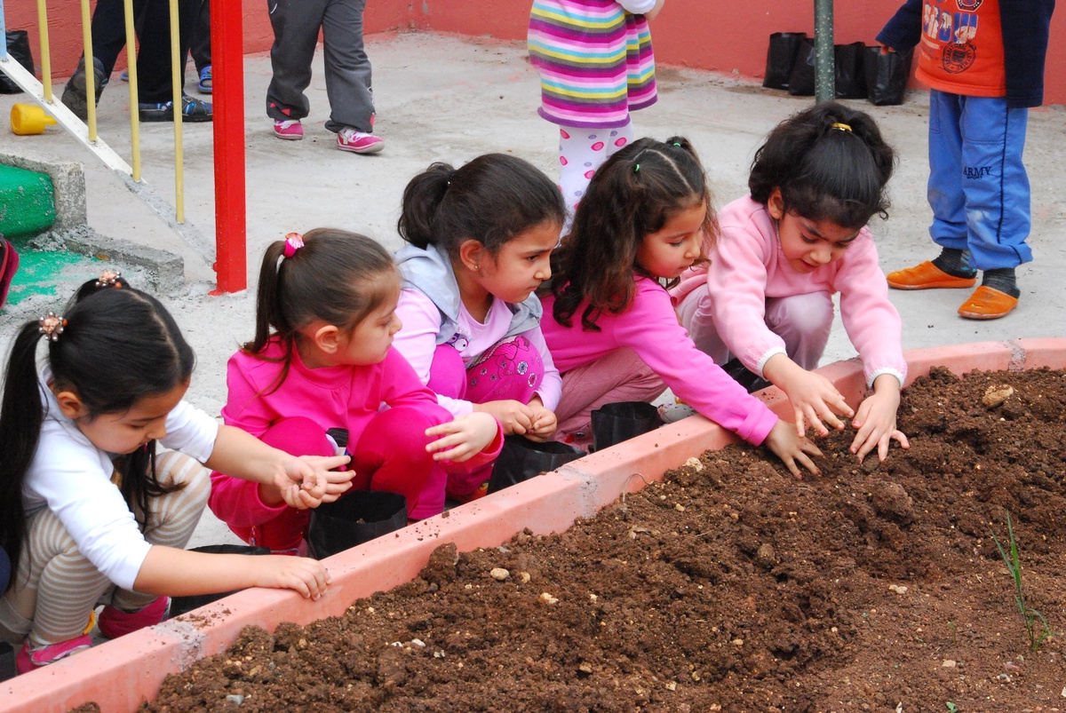 Çukurova Kaymakamlığı\'ndan "Benim Fidanım" Projesi