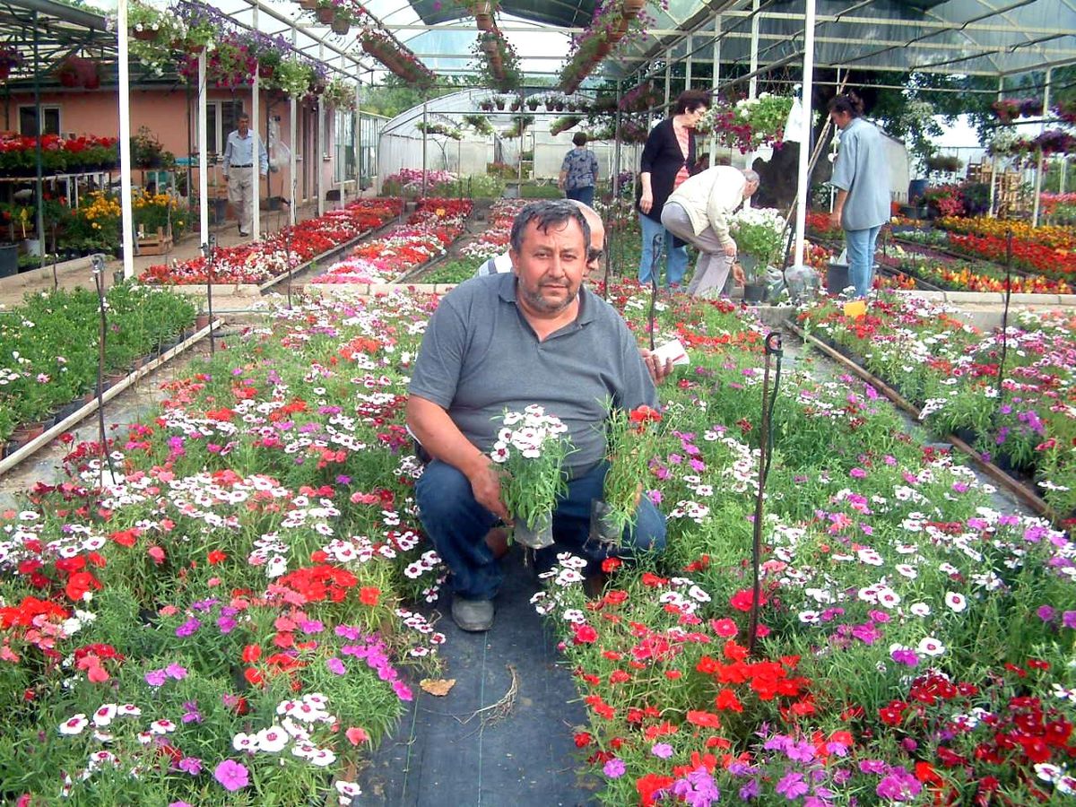 Makine Mühendisiydi, Çiçekçi Oldu