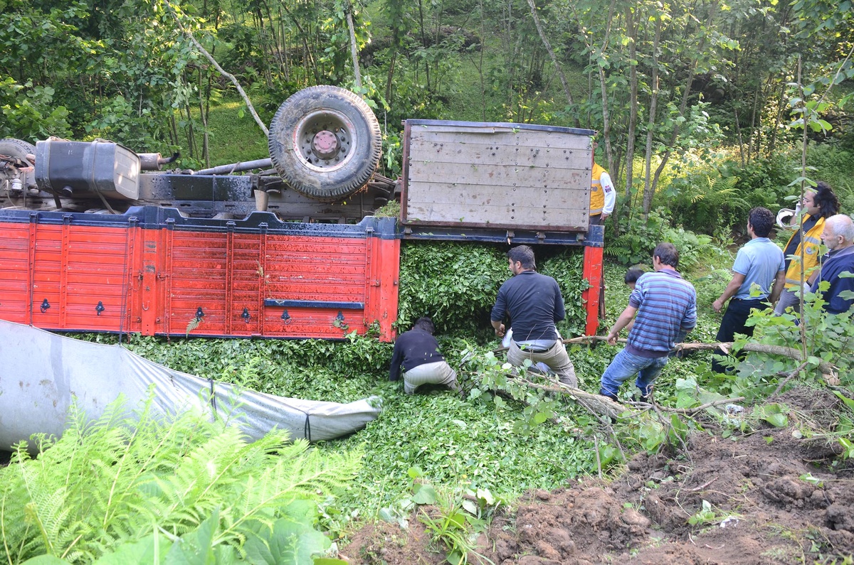 Rize'deki Trafik Kazasında Ölenler İranlı Kaçak Çay İşçileri Çıktı